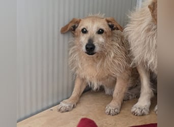 Iroso: wie fühlt sich ein Zuhause an