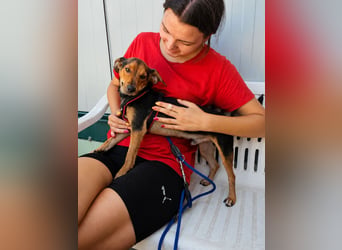 Montino: kleiner Schatz sucht Kuschelplatz