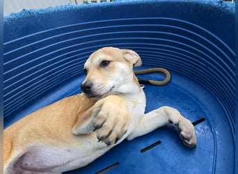 Leda: voller Lebensfreude