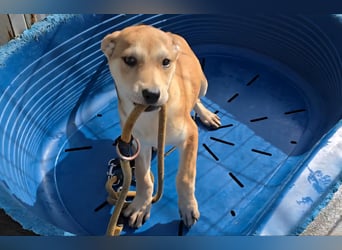 Leda: voller Lebensfreude