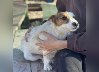 Andrija ein winziger Engelchen