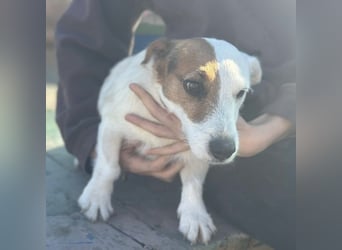 Andrija ein winziger Engelchen