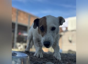 Andrija ein winziger Engelchen