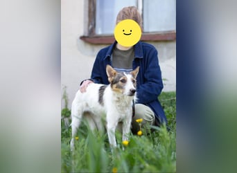 GLORIA - der Name ist Programm (Ukraine)