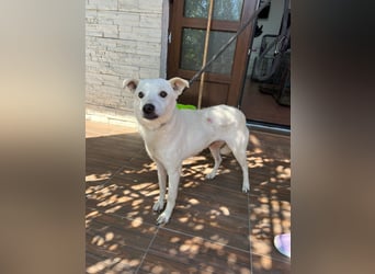 Chance - so viel Leid