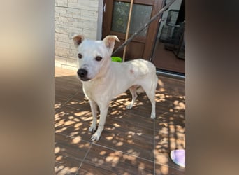 Chance - so viel Leid