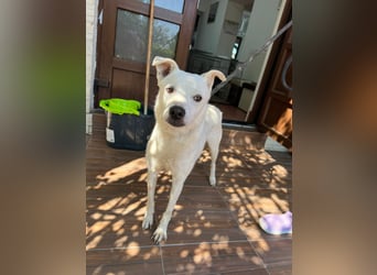 Chance - so viel Leid