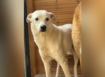 Chance - so viel Leid