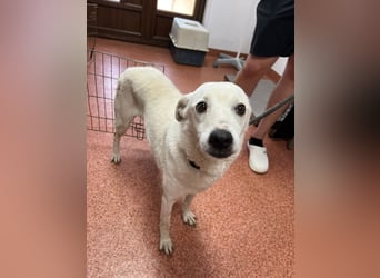 Chance - so viel Leid