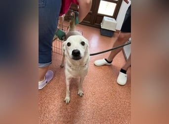 Chance - so viel Leid