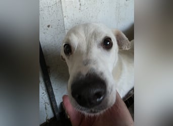 Chance - so viel Leid