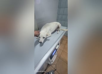 Chance - so viel Leid