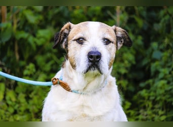 ❕Senior Tobias ❕ liebt die Menschen❕