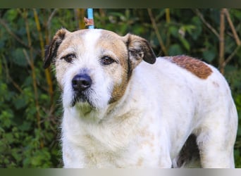 ❕Senior Tobias ❕ liebt die Menschen❕