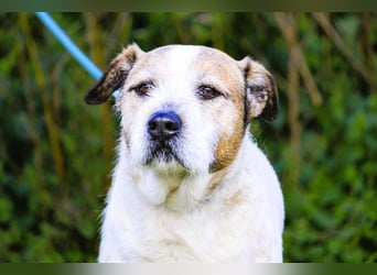 ❕Senior Tobias ❕ liebt die Menschen❕