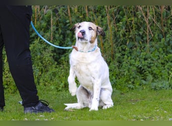 ❕Senior Tobias ❕ liebt die Menschen❕