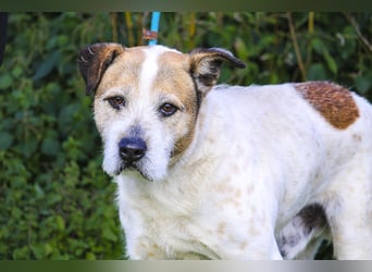 ❕Senior Tobias ❕ liebt die Menschen❕