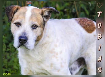 ❕Senior Tobias ❕ liebt die Menschen❕