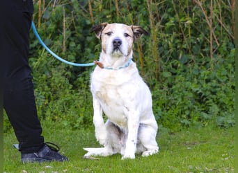 ❕Senior Tobias ❕ liebt die Menschen❕