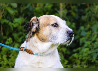 ❕Senior Tobias ❕ liebt die Menschen❕