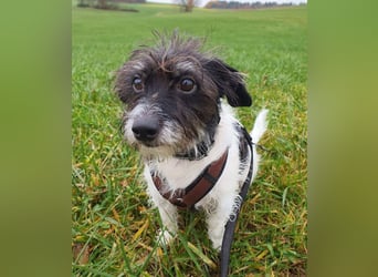 Balco - ist unerfahren