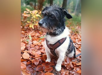 Balco - ist unerfahren