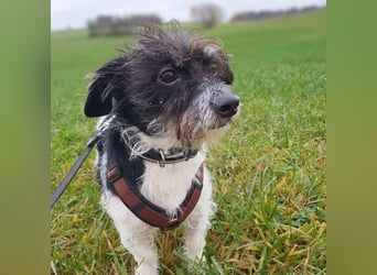 Balco - ist unerfahren