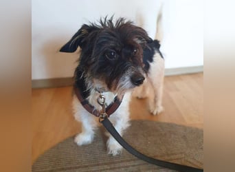 Balco - ist unerfahren