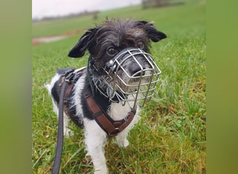 Balco - ist unerfahren