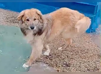 Honey, hofft auf seine Chance