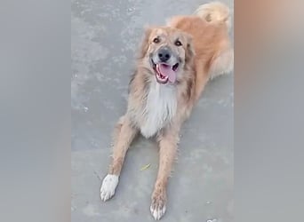 Honey, Notfall , er wartet schon so lange