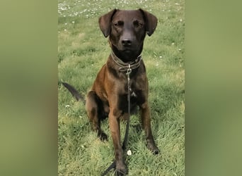 Jimmy braucht ein neues Zuhause