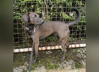 Jimmy braucht ein neues Zuhause