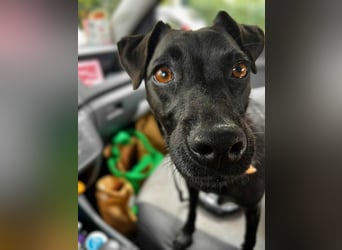 Otti - die Kinderliebende