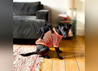 Otti - die Kinderliebende