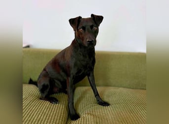 Otti - die Kinderliebende