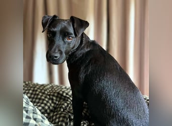 Otti - die Kinderliebende