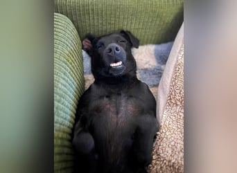 Otti - die Kinderliebende