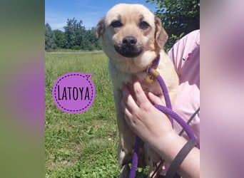 LaToya eine winzige sanfte Prinzessin
