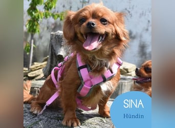 Sina & Nando