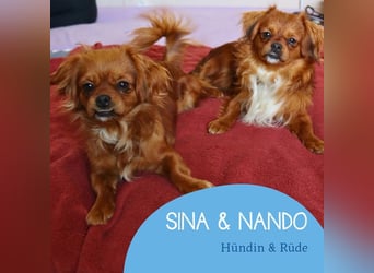 Sina & Nando