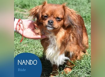 Sina & Nando