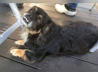 Nannos Charme muss man einfach erliegen! (15345 Reichenow-Möglin)