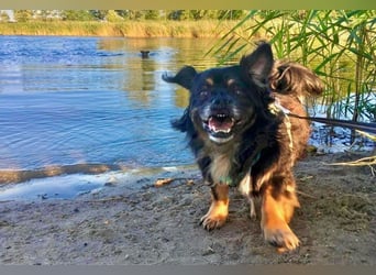 Nannos Charme muss man einfach erliegen! (15345 Reichenow-Möglin)