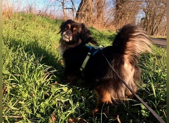 Nannos Charme muss man einfach erliegen! (15345 Reichenow-Möglin)