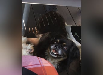 Nannos Charme muss man einfach erliegen! (15345 Reichenow-Möglin)