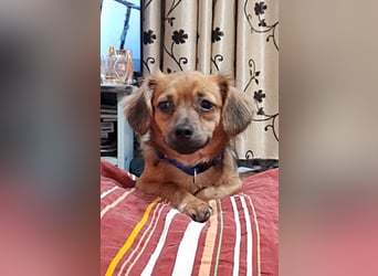 Tasha, lieb und menschenbezogen