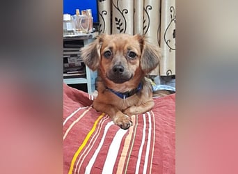 Tasha, lieb und menschenbezogen