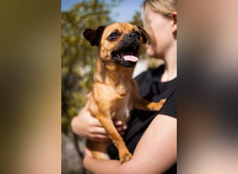 Ellie ❤️ wartet bereits in 48153 Münster auf dich!