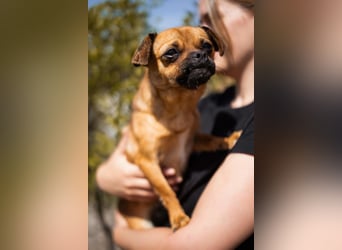 Ellie ❤️ wartet bereits in 48153 Münster auf dich!